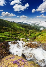 фотопечать для шкафа купе