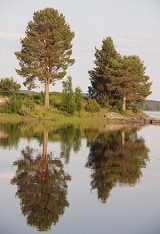 фотопечать для шкафа купе