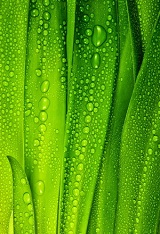 фотопечать для шкафа купе