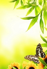 фотопечать для шкафа купе