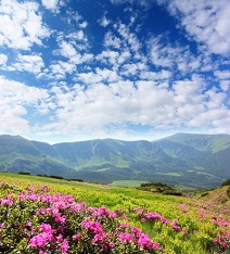 фотопечать для шкафа купе