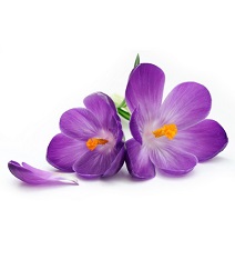 фотопечать для шкафа купе