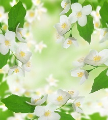 фотопечать для шкафа купе