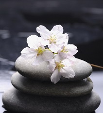 фотопечать для шкафа купе